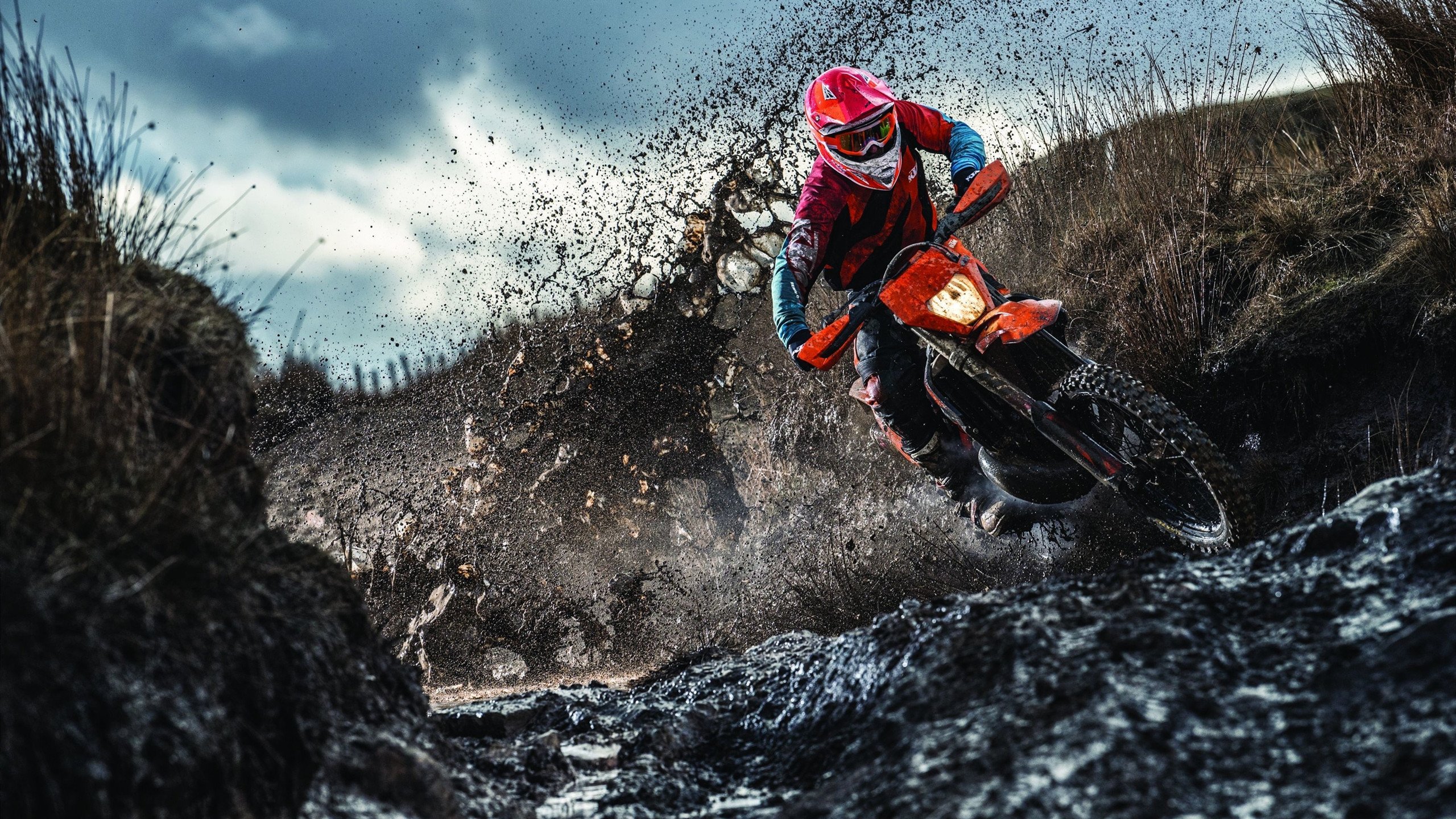 法甲未来之星：新秀崭露头角赢得未来，法甲潜力球员